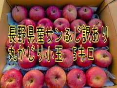 長野県産 サンふじ 訳あり丸かじり小玉 5キロのサムネイル