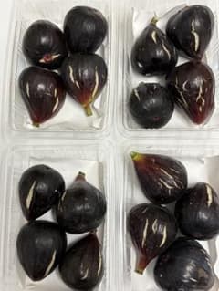 黒イチジク 4パッ　ビオレソリエス 9/21収穫　栽培期間中農薬不使用　裂果品のサムネイル