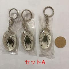 キーホルダーのサムネイル