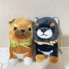 シナダ おすわり タルタルタートル かめ ぬいぐるみ Amazon.co.jp: SHINADA シナダ おすわりタルタルタートル