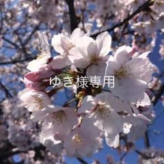 お手頃！チャンピオン レディース長袖シャツのサムネイル