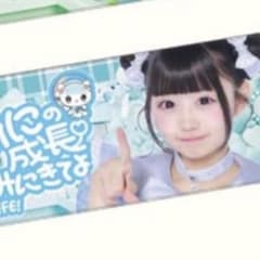 iLiFE! 虹羽みに 武道館 まとめ売り うちわ ぬいぐるみ タオル iLiFE! 虹羽みに みにちゃん タオル - メルカリ