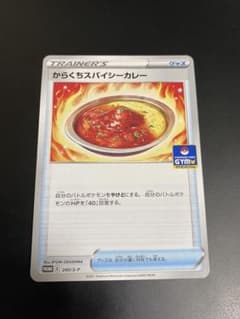 からくちスパイシーカレーのサムネイル