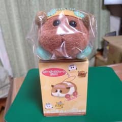 PUI PUIモルカー もちころりん ぬいぐるみ!チョコ!　値下げのサムネイル