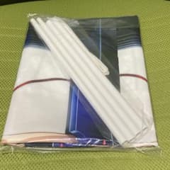 人狼機ウィンヴルガ -叛逆篇- 5巻 メロンブックス特典B2タペストリー