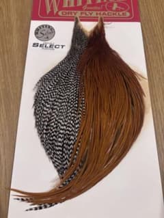 Whiting Silver Select Portion Capeのサムネイル