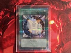 ミラクルフュージョン　25th  シークレット　シクのサムネイル