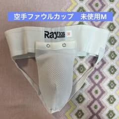 MIZUNO 空手 シンガード Мサイズのサムネイル
