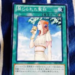 禁じられた聖杯のサムネイル