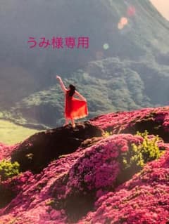 ルイヴィトンバックのサムネイル