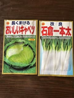 おいしいキャベツと石倉一本太の種子セットのサムネイル