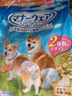 マナーウェア Lサイズ 中型犬用 4枚　女の子のサムネイル