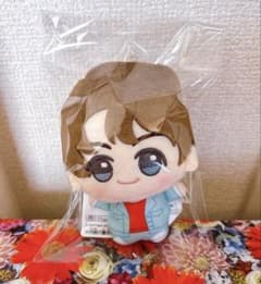 [신품 태그 첨부]BTS TinyTAN DNA 치비구루미 vol.2 정국