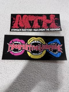 マキシマム ザ ホルモン　ステッカー　2枚セットのサムネイル
