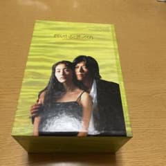 愛していると言ってくれ　DVDのサムネイル