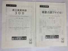東進　東大特進コース　重要古語ファイル　漢文重要単語のサムネイル