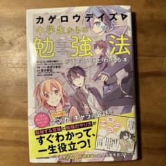 カゲロウデイズで中学生からの勉強法が面白いほどわかる本のサムネイル