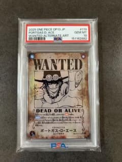 PSA10】 ポートガス・D・エース 手配書 OP13-119SEC - メルカリ
