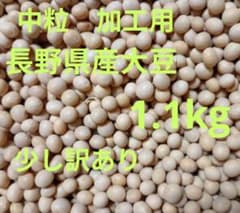 大豆 2025年産薬品磨き不使用 少量梱包 惣菜 加工用 少し訳あり1.1kg