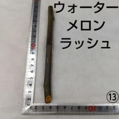 ⑬◇イチジク穂木1本◇ウォーターメロンラッシュ⑬【親木の写真あり