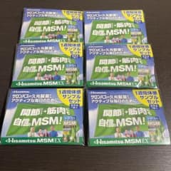 MSM メチルサルフォナルメタン　グルコサミンEX 試供のサムネイル