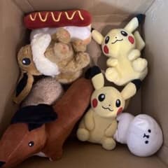 포켓몬 인형 세트