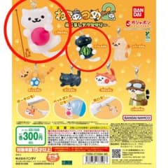 고양이 아츠메 2 메지루시 액세서리 2 개 세트