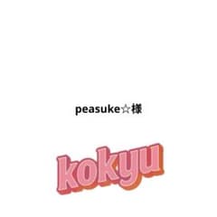 そらせ様　ご確認用 peasuke☆様 ご確認用 - メルカリ