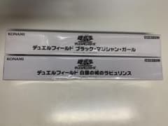 デッキフィールド ブラック・マジシャン・ガール   白銀の城のラビュリンスのサムネイル