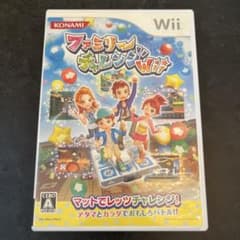 ファミリーチャレンジwiiのサムネイル