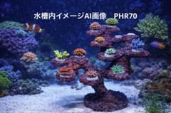 人工ライブロック　PHR70／12穴加工　30×28×25 人工ライブロック PHR70／12穴加工 30×28×25 - メルカリ