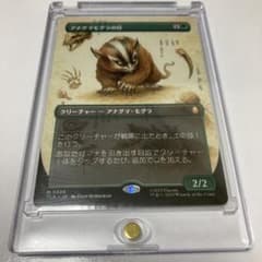 c*l様 MTG アナグマモグラの仔/Badgermole Cub ボーダーレス - メルカリ