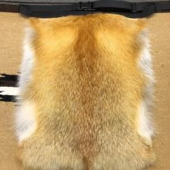 限定【裏地付】レッドフォックス 尻あて 赤狐毛皮 尻当尻皮 登山 雪山