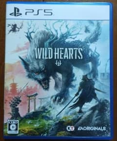 ワイルドハーツ　WILD HEARTS　PS5