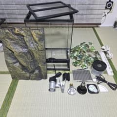 ぴっぴ様専用 GEX エキゾテラ グラステラリウム3045 一式セット - メルカリ