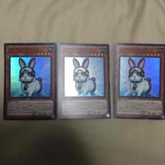 レスキューラビットのサムネイル
