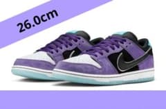 Hayley Wilson × Nike SB Dunk Low Pro