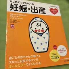 はじめてママ&パパの妊娠・出産 : 妊娠中の不安解消から産後ケアまでこの一冊で…のサムネイル