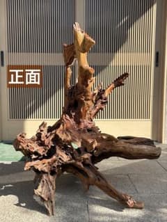 古木 特大 オブジェ 置物 茶色 古木 特大 置物 オブジェ 天然木 - メルカリ