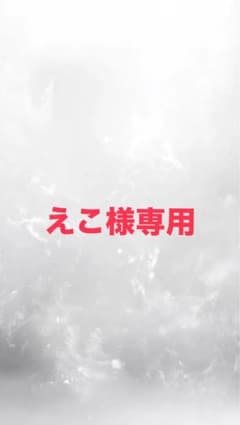 えこ様専用のサムネイル
