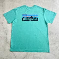 PatagoniaTシャツのサムネイル