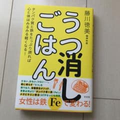 うつ消しごはん タンパク質と鉄をたっぷり摂れば心と体はみるみる軽くなる!のサムネイル