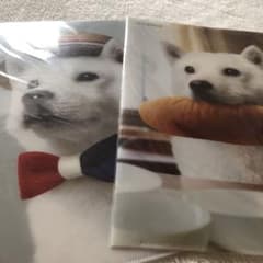 新品未開封★お父さん犬★ファイル2枚のサムネイル