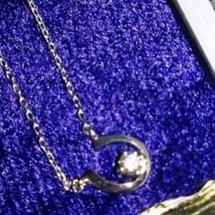 馬蹄ダイヤネックレスのサムネイル