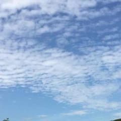 ナガ様専用  蠱惑の落とし穴3枚のサムネイル
