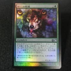 MTG 【Foil】 狩人の眼識 日本語1枚 M12版 - メルカリ