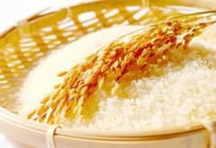 くま様専用のサムネイル