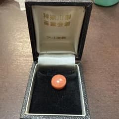 珊瑚 タイタック 神奈川県薬業会館 アート宝飾のサムネイル