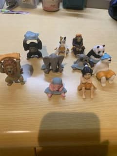 動物サウナ　コレクションのサムネイル