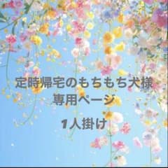 Thumbnail of セットソファ(1人掛けの部分)